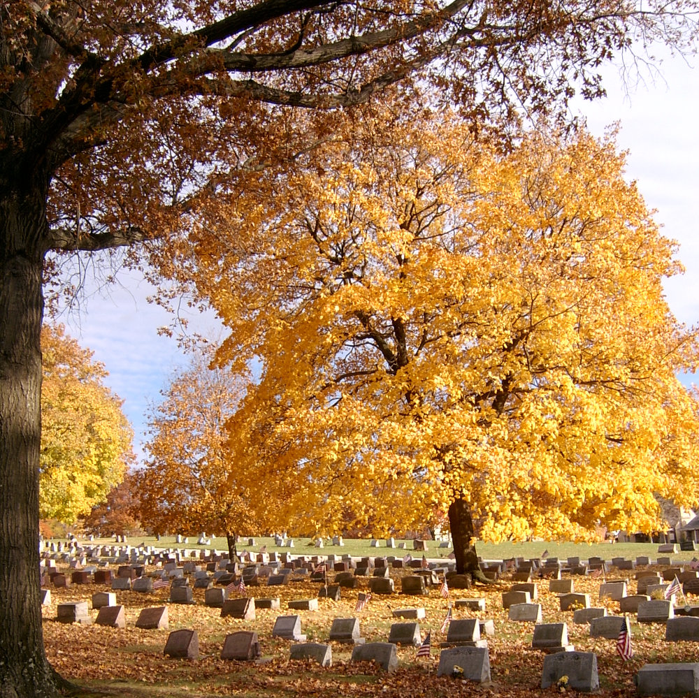 Fall colors in the cemetery