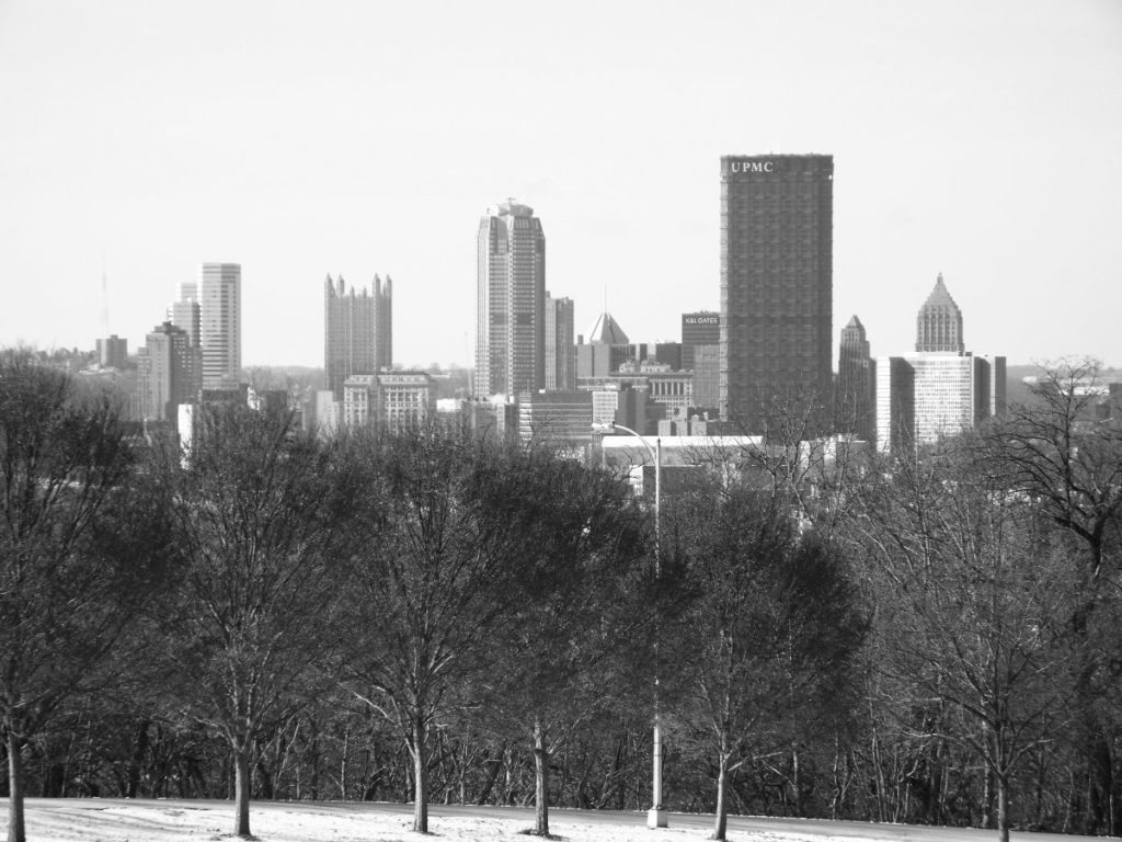 Pittsburgh skyline from Schenley Park in winter