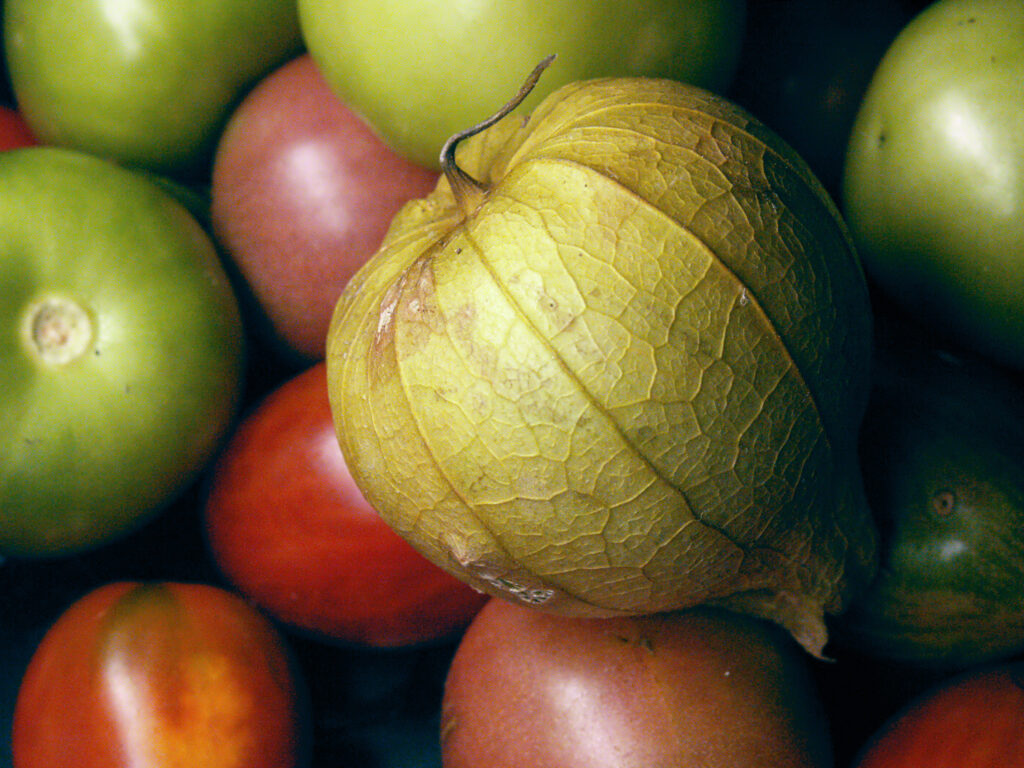 Tomatillo on a backdrop of tomatillos and tomatoes