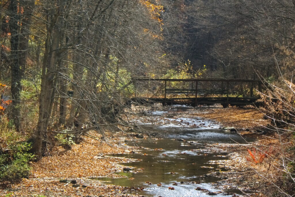 Old bridge on Montour Run