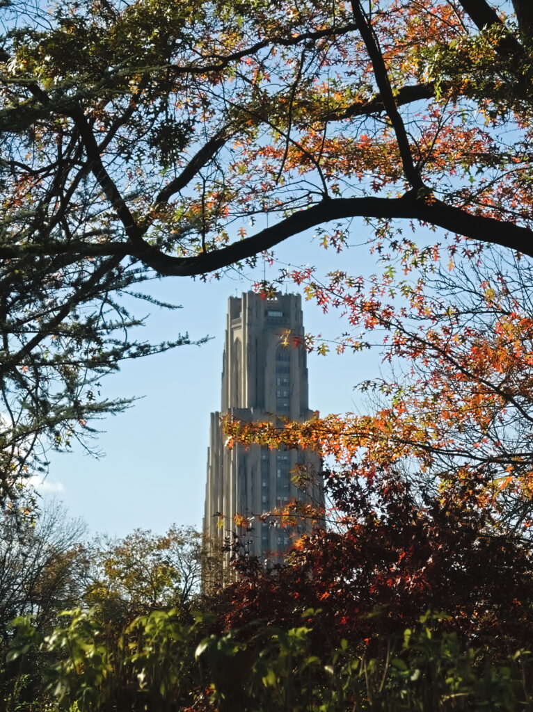 Cathedral of Learning through fall leaves