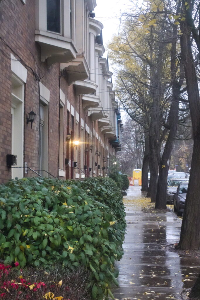 Rowhouses on Wilkins Avenue