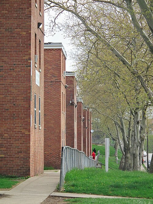 Bedford Dwellings