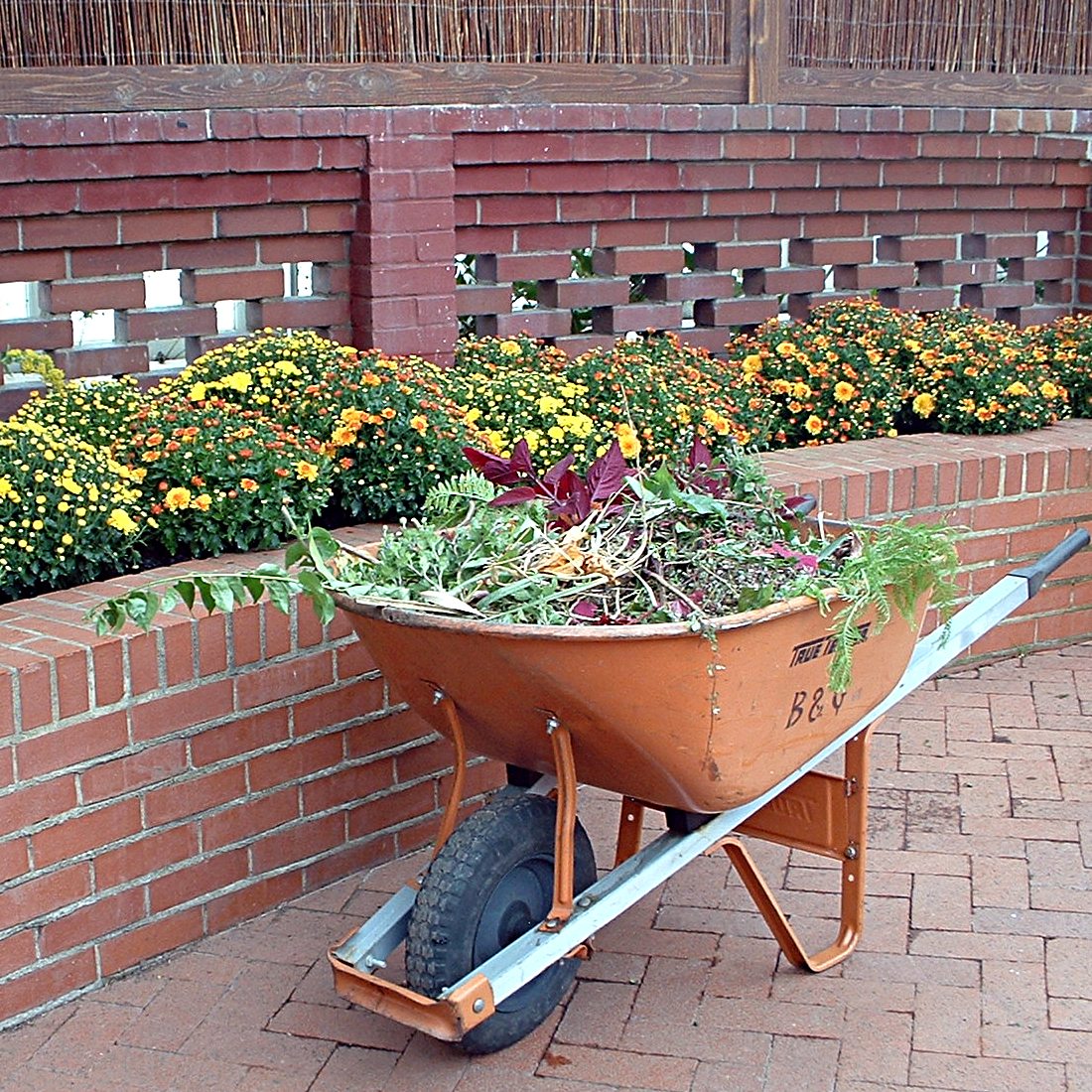 2011-09-30-Phipps-01