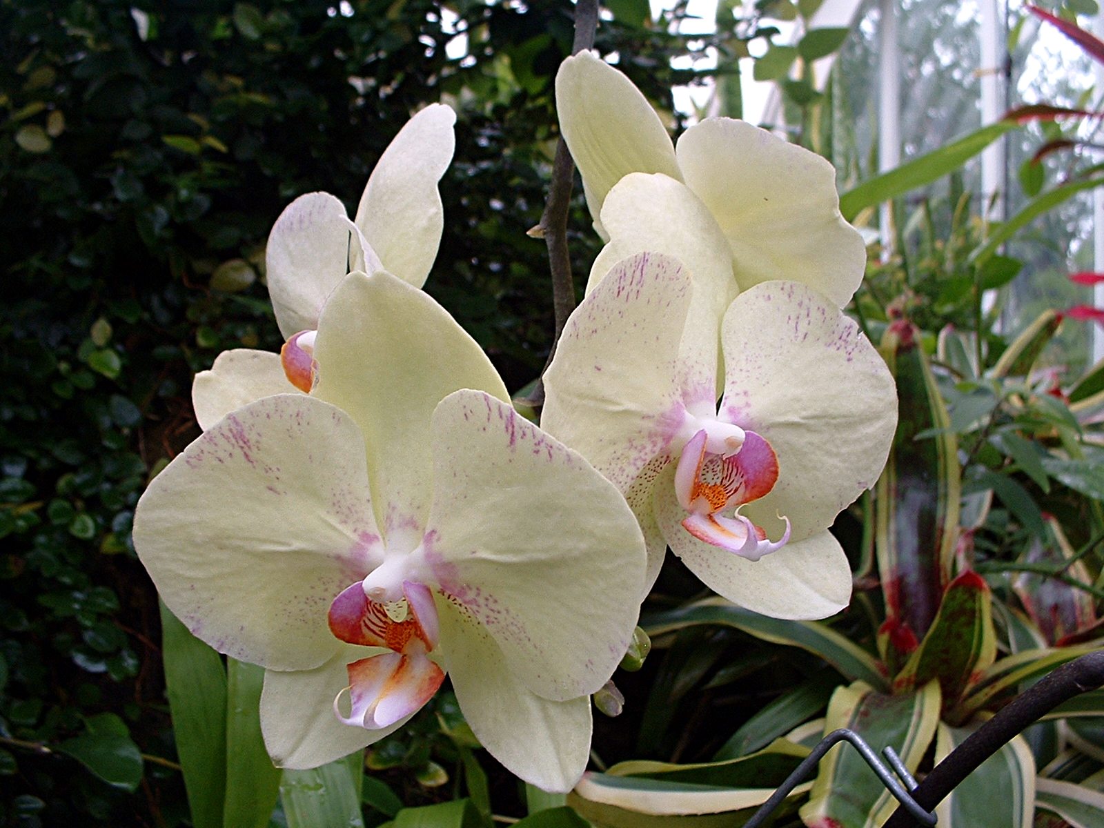 2011-09-30-Phipps-02