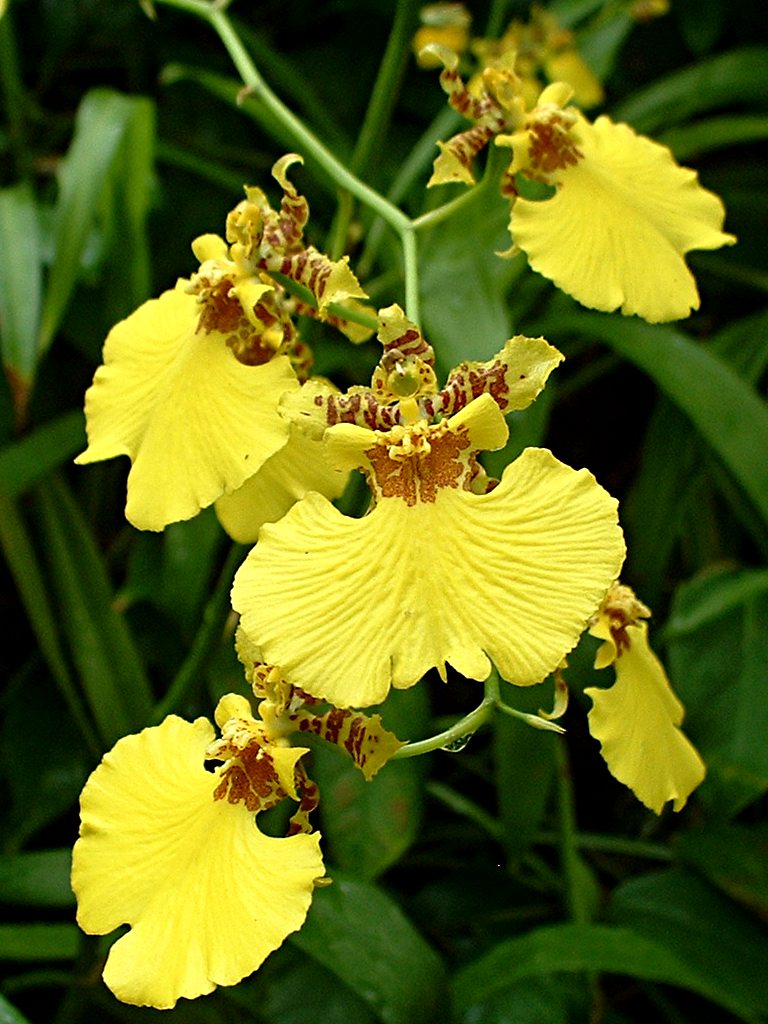 2011-09-30-Phipps-05