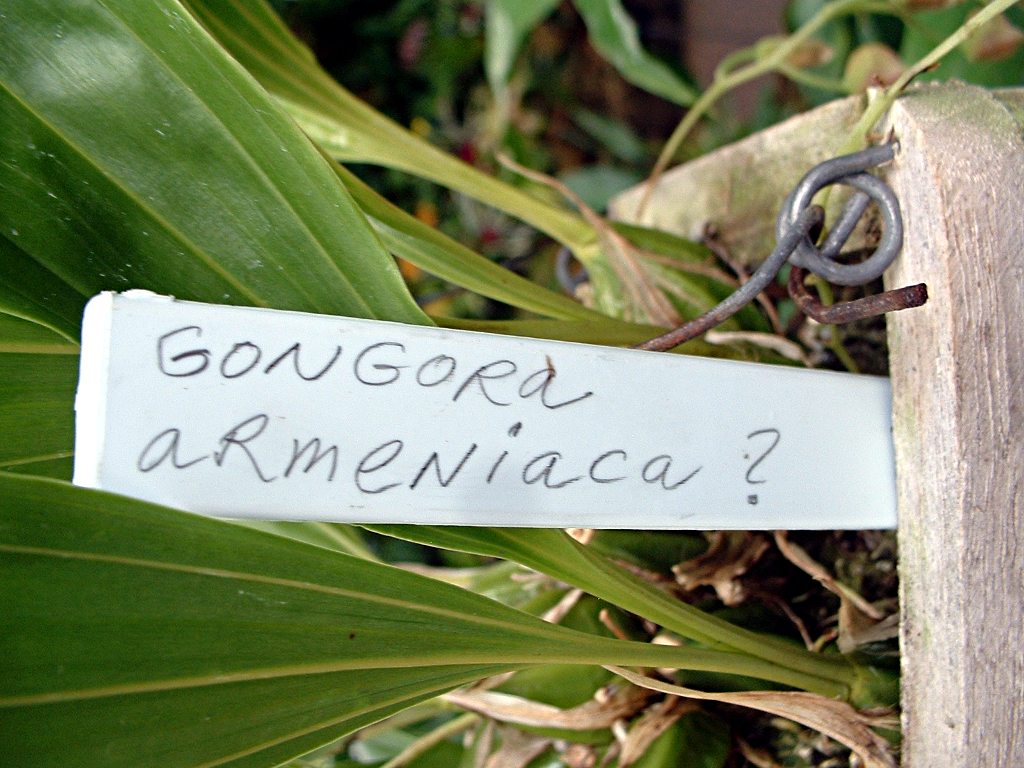 2011-09-30-Phipps-07