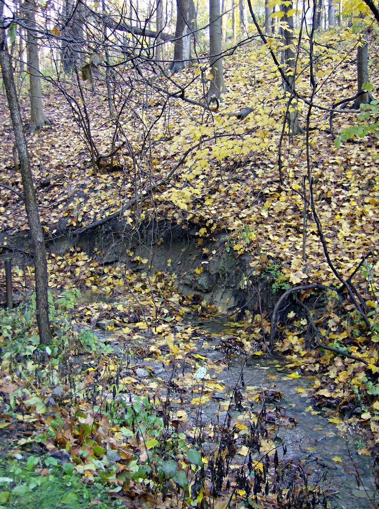 2011-10-29-Mount-Lebanon-01