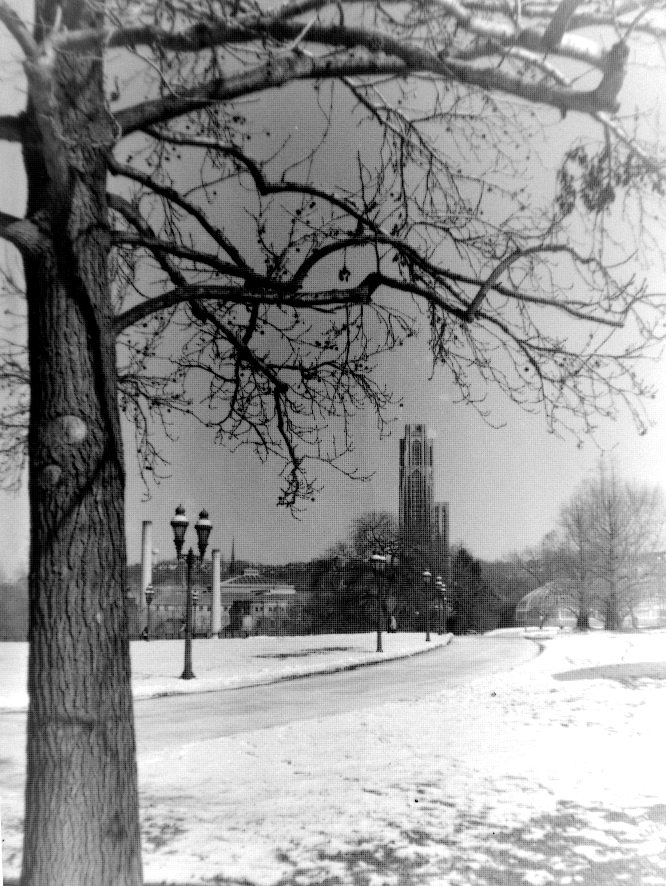 schenley-park-snow-01