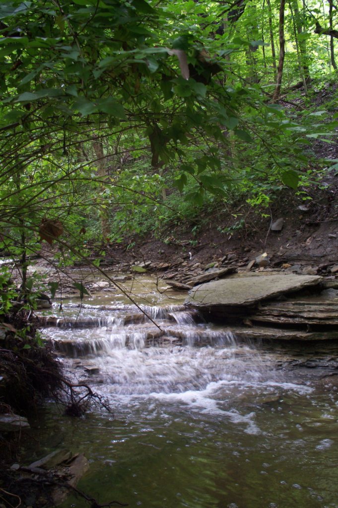 2014-08-03-Kane-Woods-01