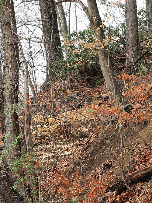Hillside