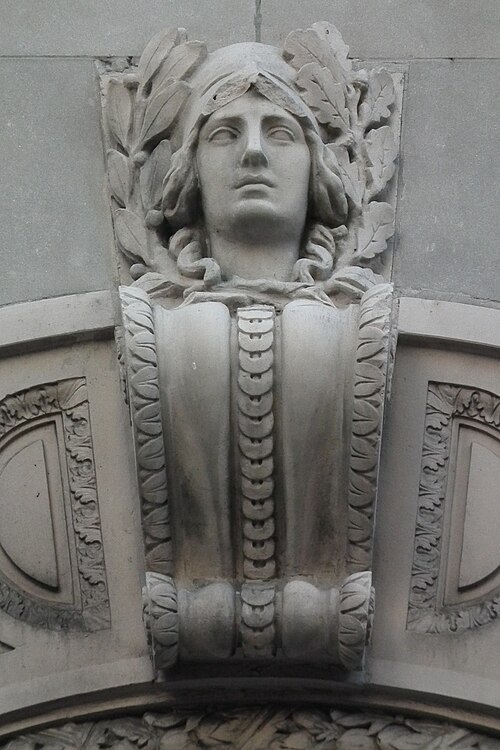 A similar head from the front