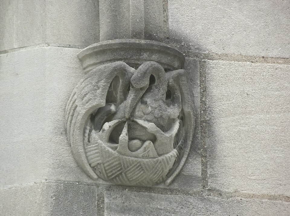 Pelican