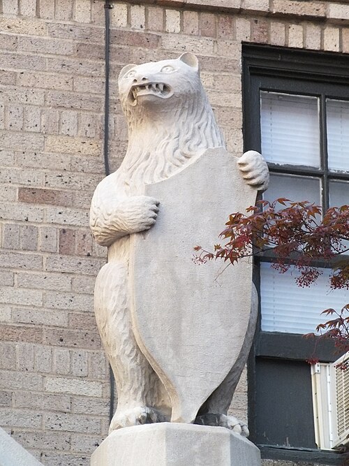 Right bear