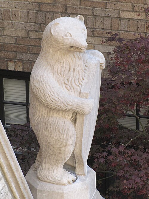 Right bear from above