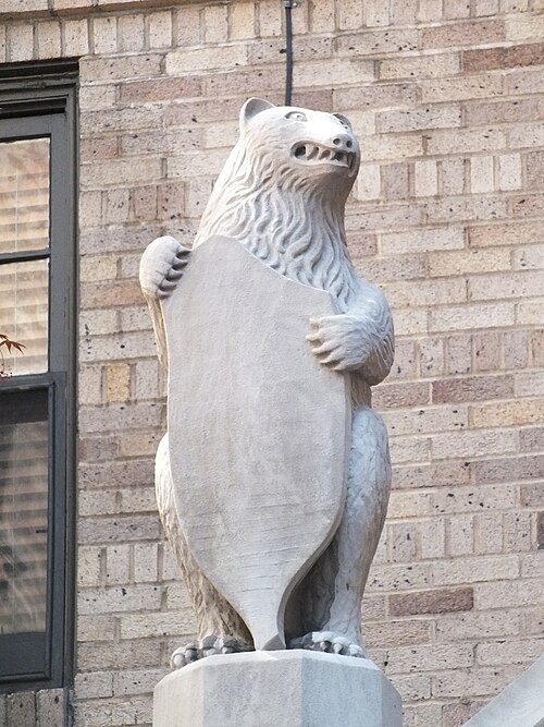 Left bear