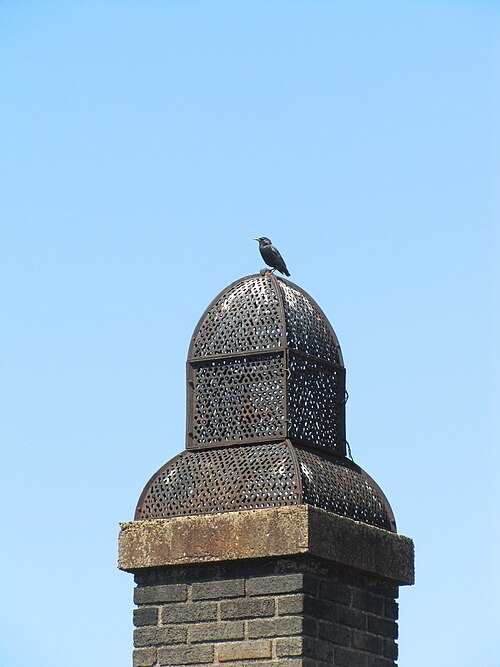 Chimney with starling