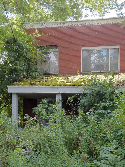 Abandoned house being reclaimed by jungle