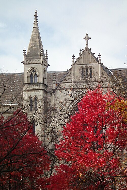 St. Paul’s Cathedral with autumn leaves in foreground