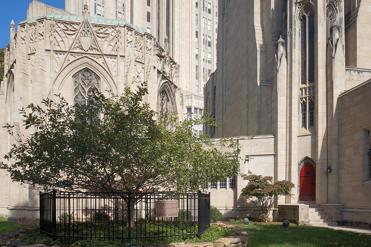 Stephen Foster Memorial and Newton Apple Tree