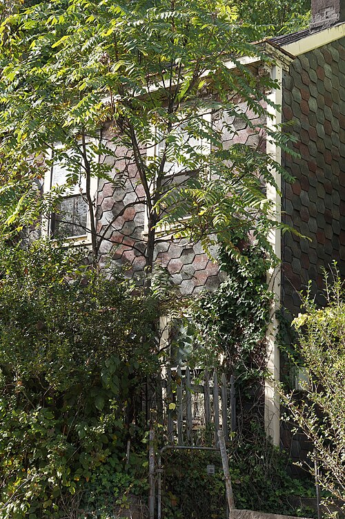 House with asbestos hexagons