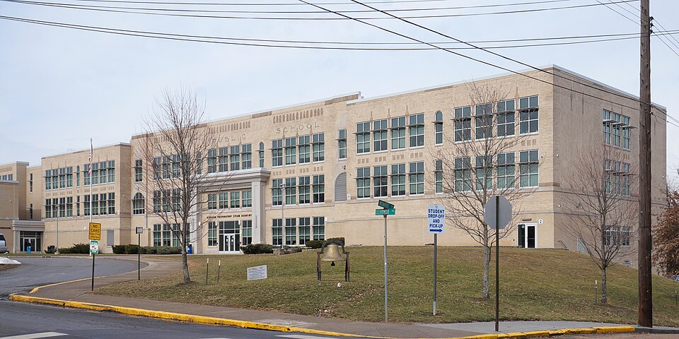 Dickson Public School